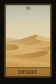 Carte 35 - Désert