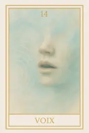 Carte 14 - Voix