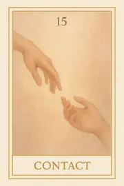 Carte 15 - Contact