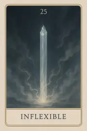 Carte 25 - Inflexible