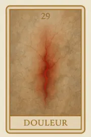 Carte 29 - Douleur