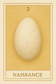 Carte 2 - Naissance