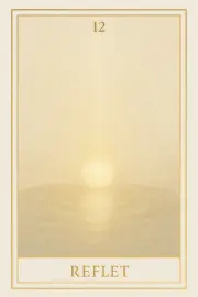 Carte 12 - Reflet