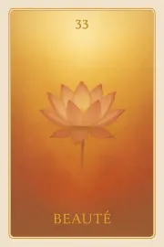 Carte 33 - Beauté