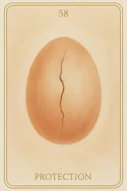 Carte 58 - Protection